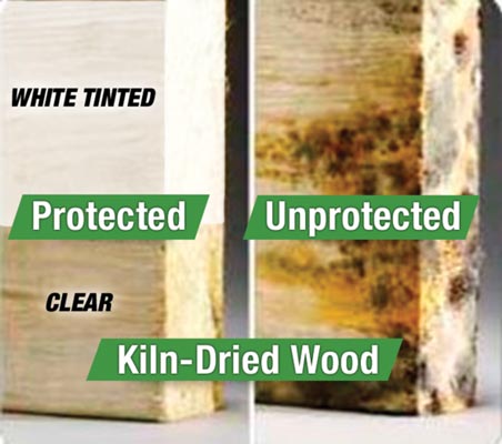 surface shield wood protection inti mold